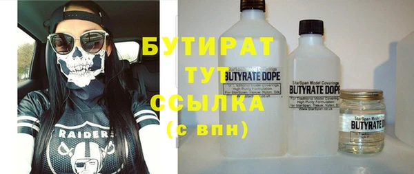 гашик Алексин