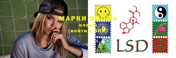 гашик Алексин
