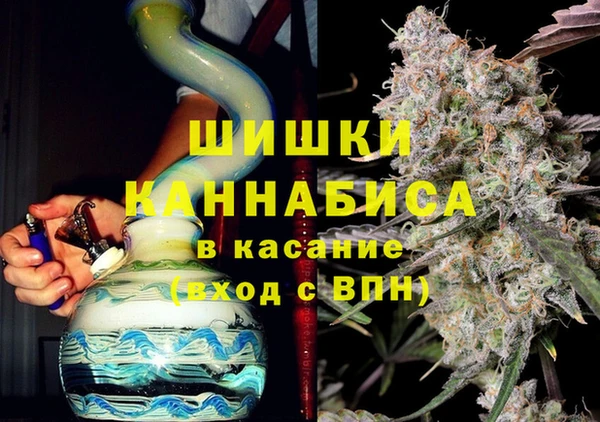 гашик Алексин