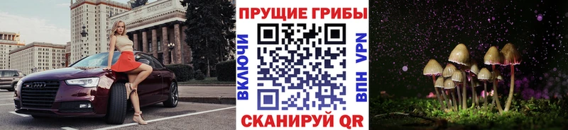 Псилоцибиновые грибы Magic Shrooms  Ивдель 